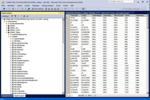 Autodesk AutoCAD Plant 3D – Datenbankmanagement - Image 2